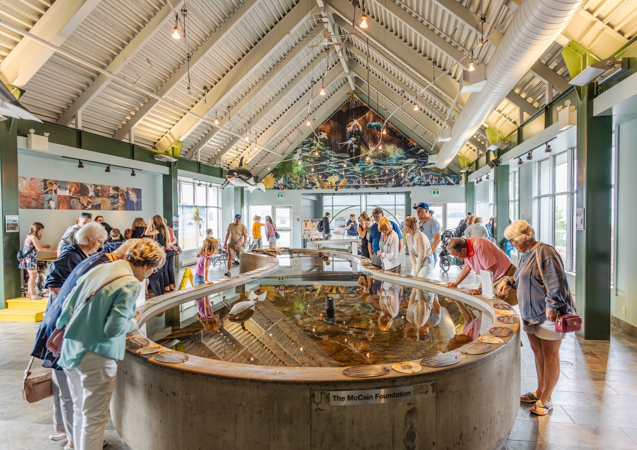 March Break in New Brunswick: What to Do When Everyone’s Home