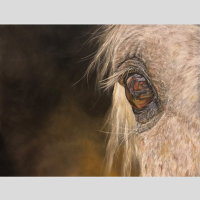 Original colored pencil drawing of a horses eye by artist Sarah Murch