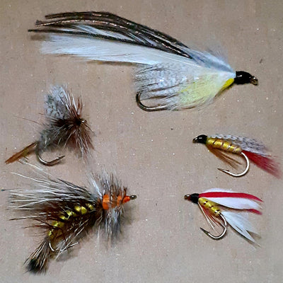 Trout Fly Collection