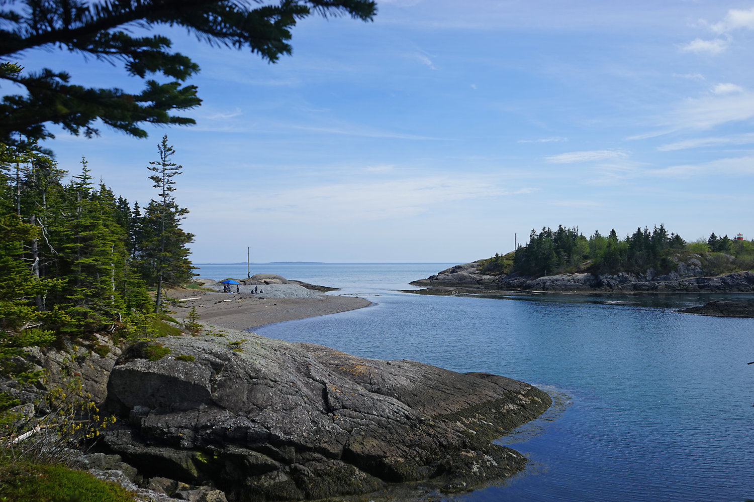 Fundy’s Isles: Island hopping from Shore to Shore