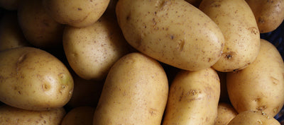 POMMES DE TERRE NOUVEAU-BRUNSWICK