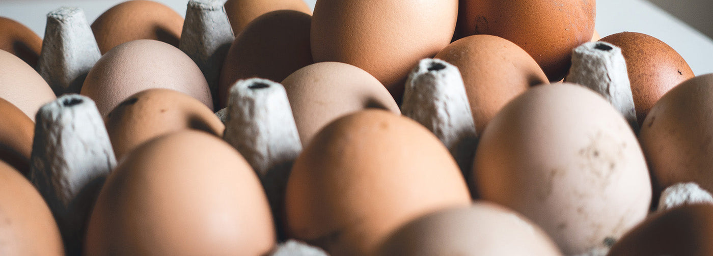 Egg Farmers Of New Brunswick