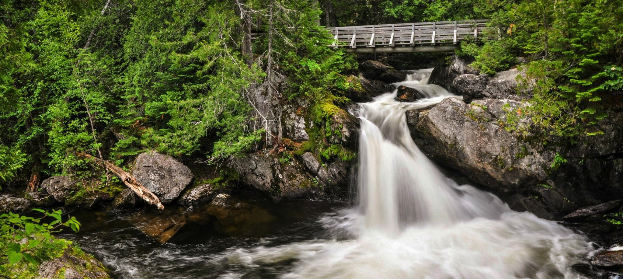 The Ultimate Spring Bucket List: From Center Stage to Garden Gates