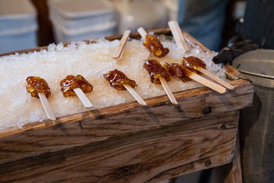 Sugar Shacks and Maple Syrup in New Brunswick