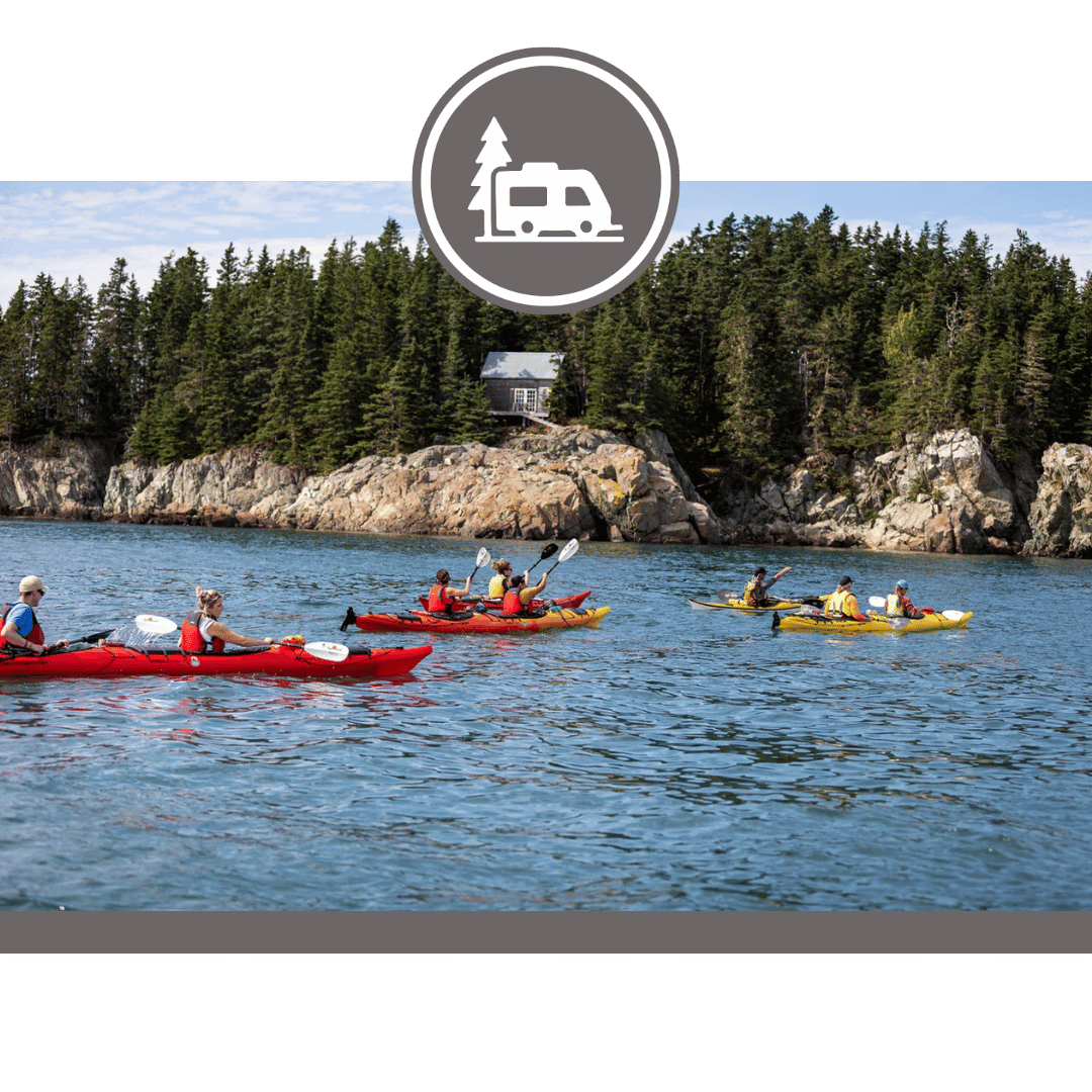 Bay of Fundy Adventures
