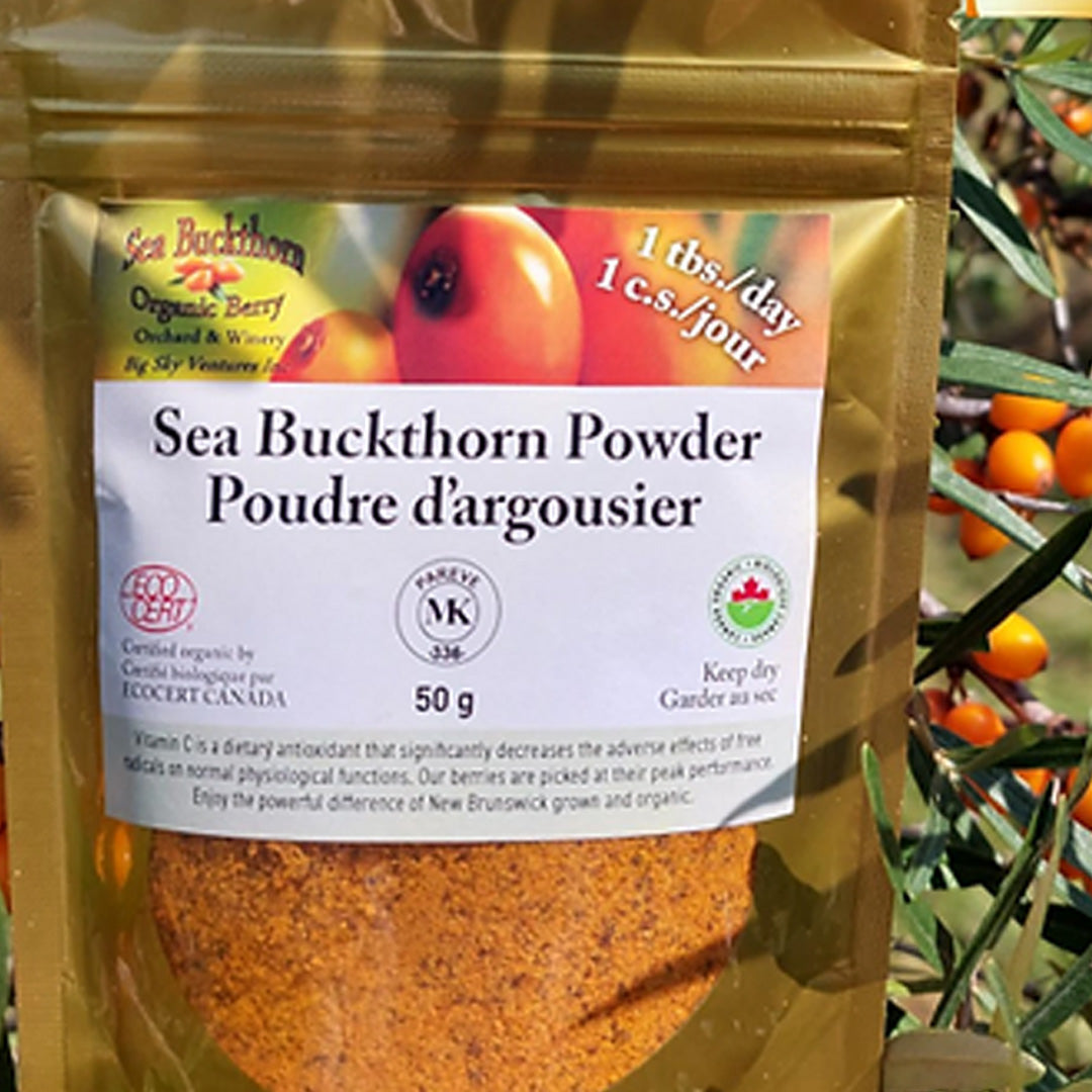Sea Buckthorn Berry Powder