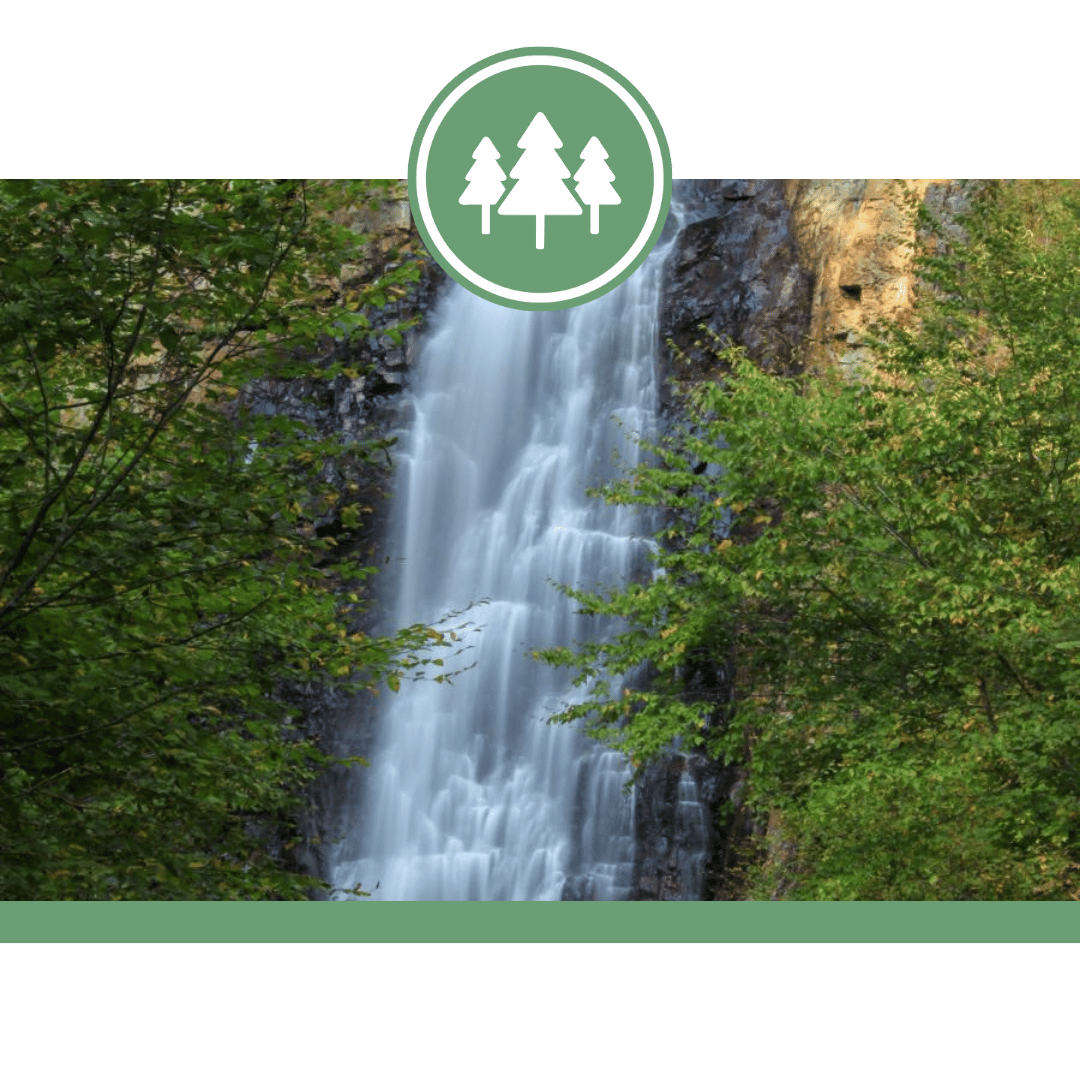 Fall Brook Falls Trail