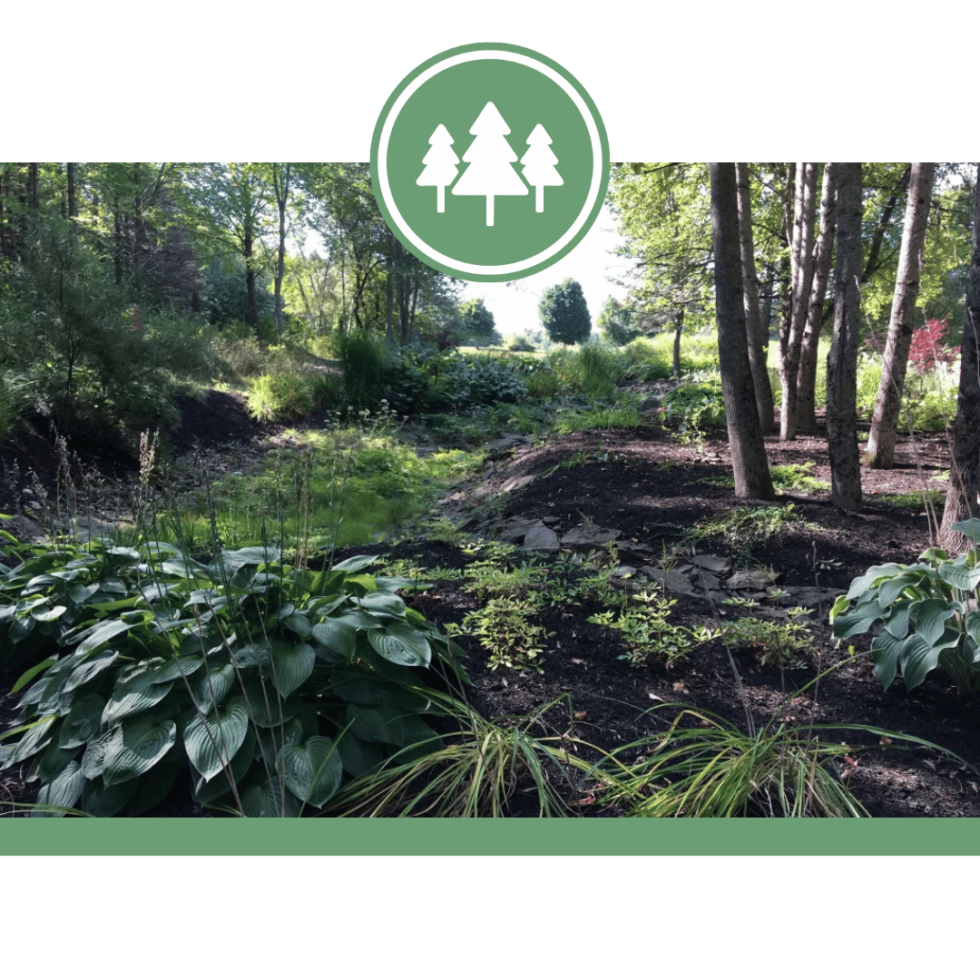 Fredericton Botanic Garden
