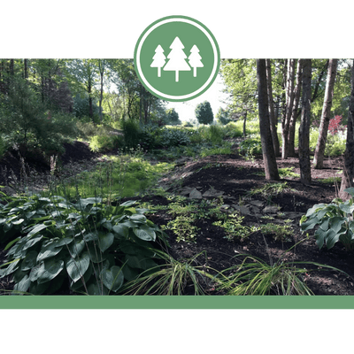 Fredericton Botanic Garden