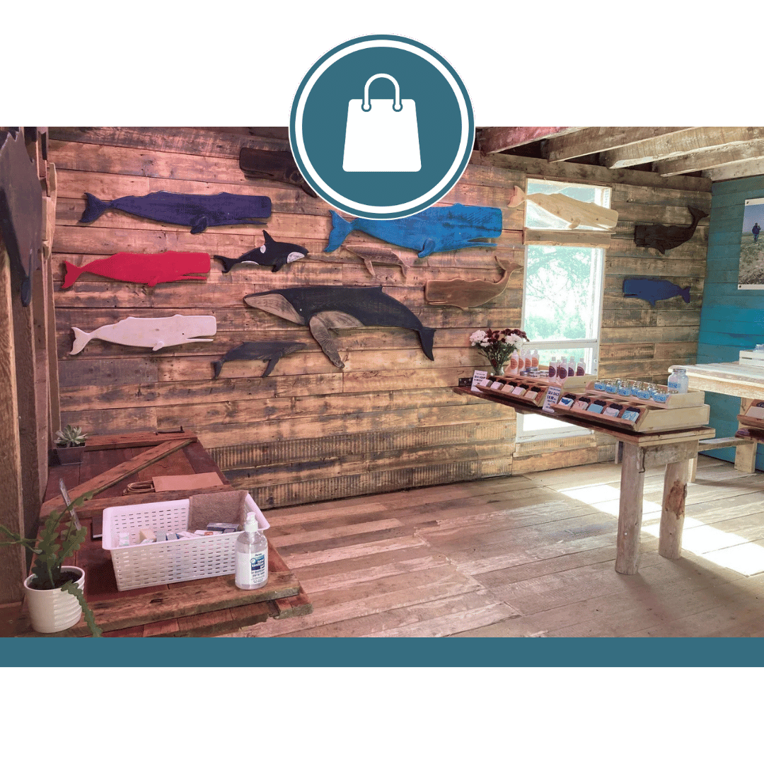 Fundy Coast Farm