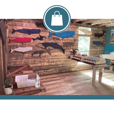 Fundy Coast Farm