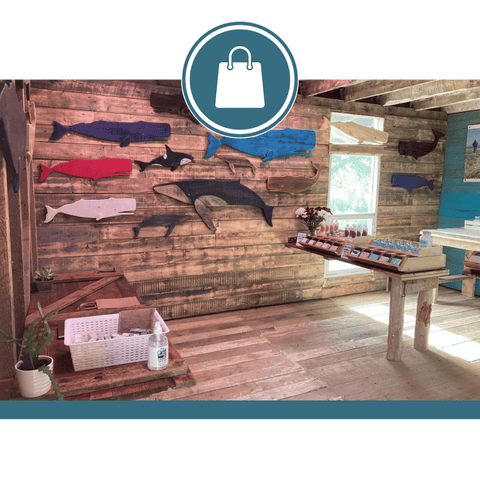 Fundy Coast Farm