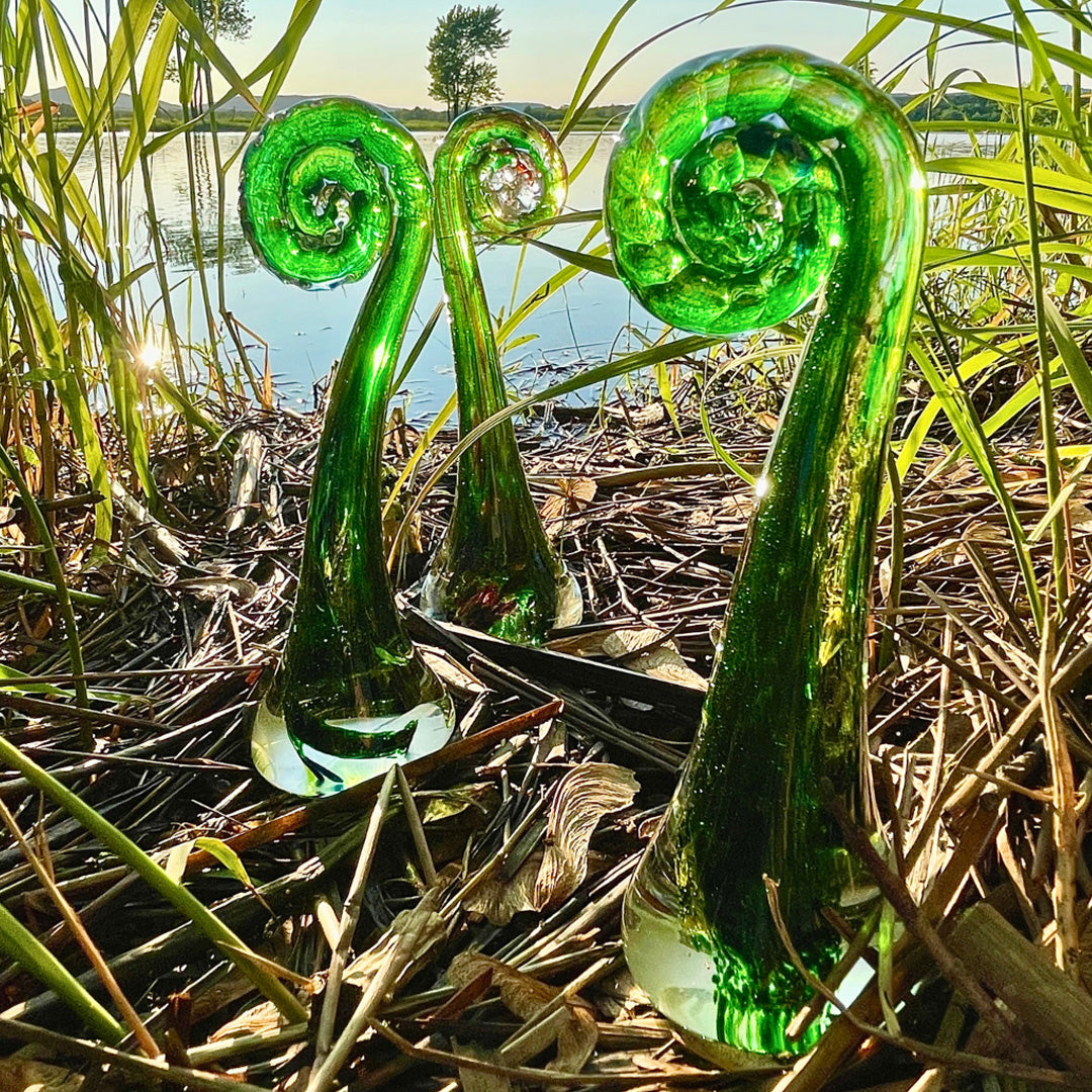 Fiddlehead