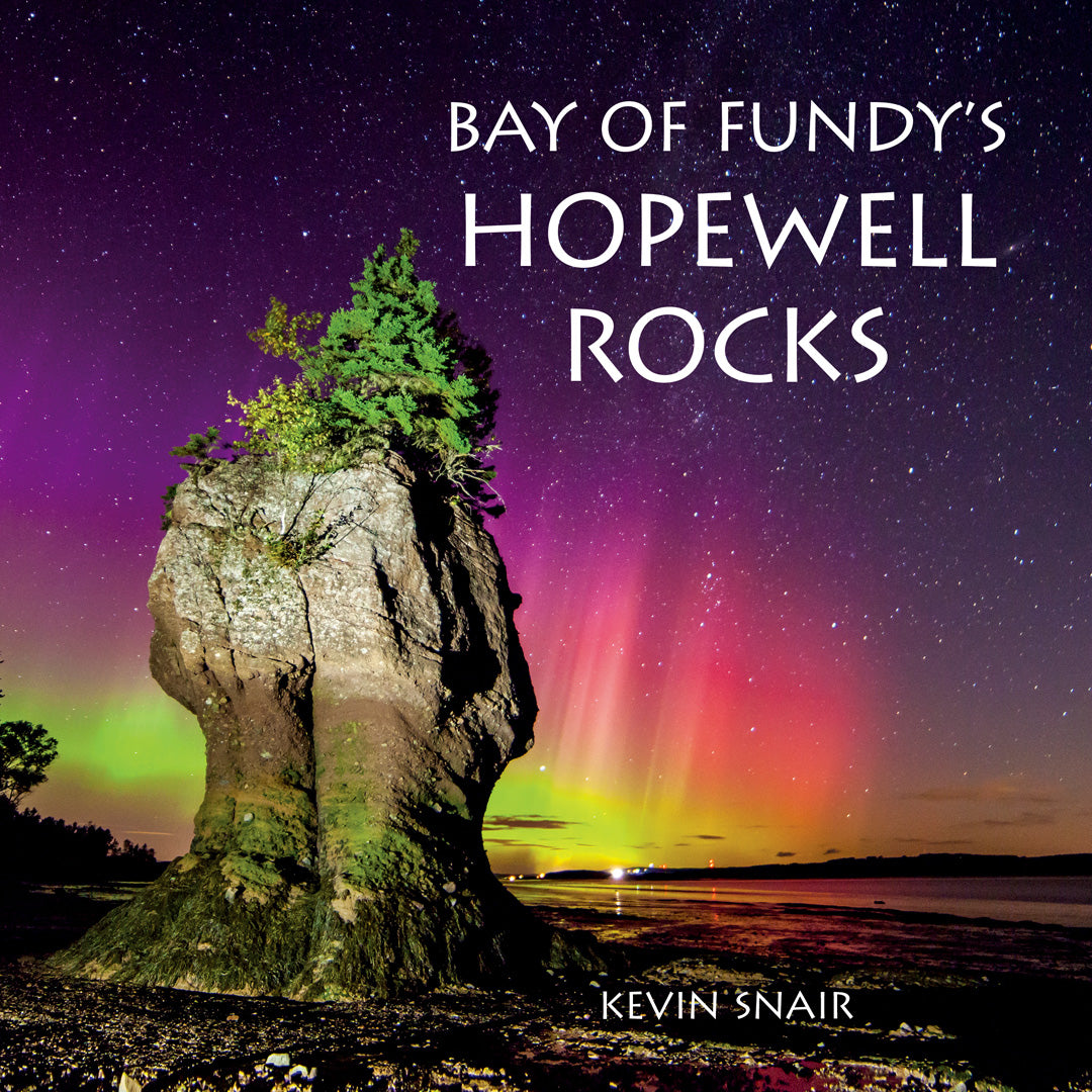 Bay of Fundy's Hopewell Rocks