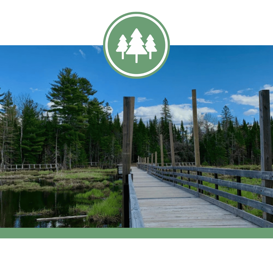 Great Canadian Beaver Pond Voyage