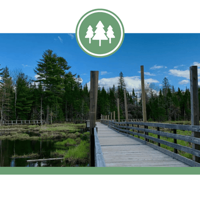 Great Canadian Beaver Pond Voyage