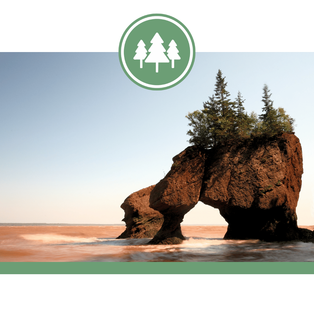 Hopewell Rocks