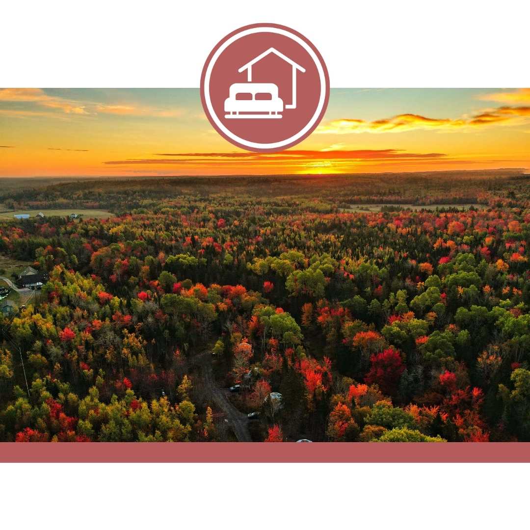 IronTree Glamping