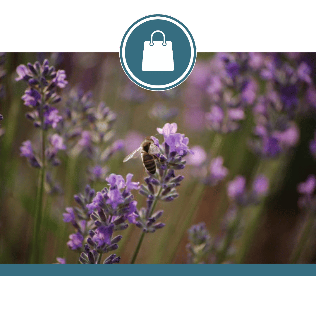 Lavender Moon Farm
