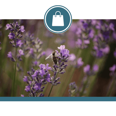Lavender Moon Farm