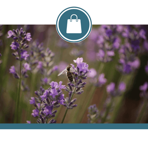 Ferme Lavender Moon
