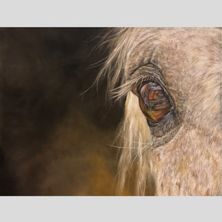 Original colored pencil drawing of a horses eye by artist Sarah Murch