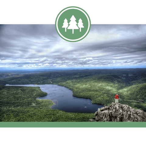 Parc provincial du Mont Carleton
