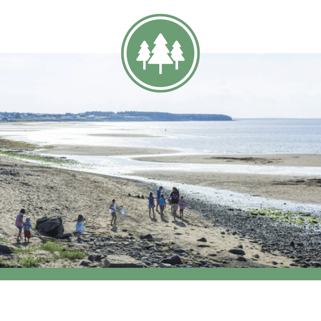 Murray Beach Provincial Park