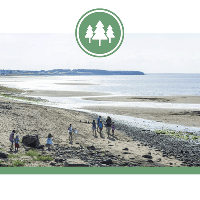 Parc provincial Murray Beach