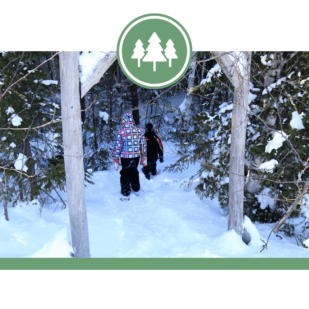 Nepisiguit Mi'gmaq Trail