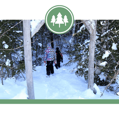 Sentier Mi’gmaq Nepisiguit