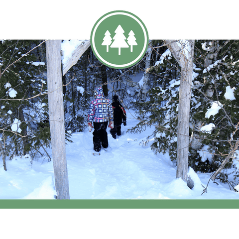 Sentier Mi’gmaq Nepisiguit