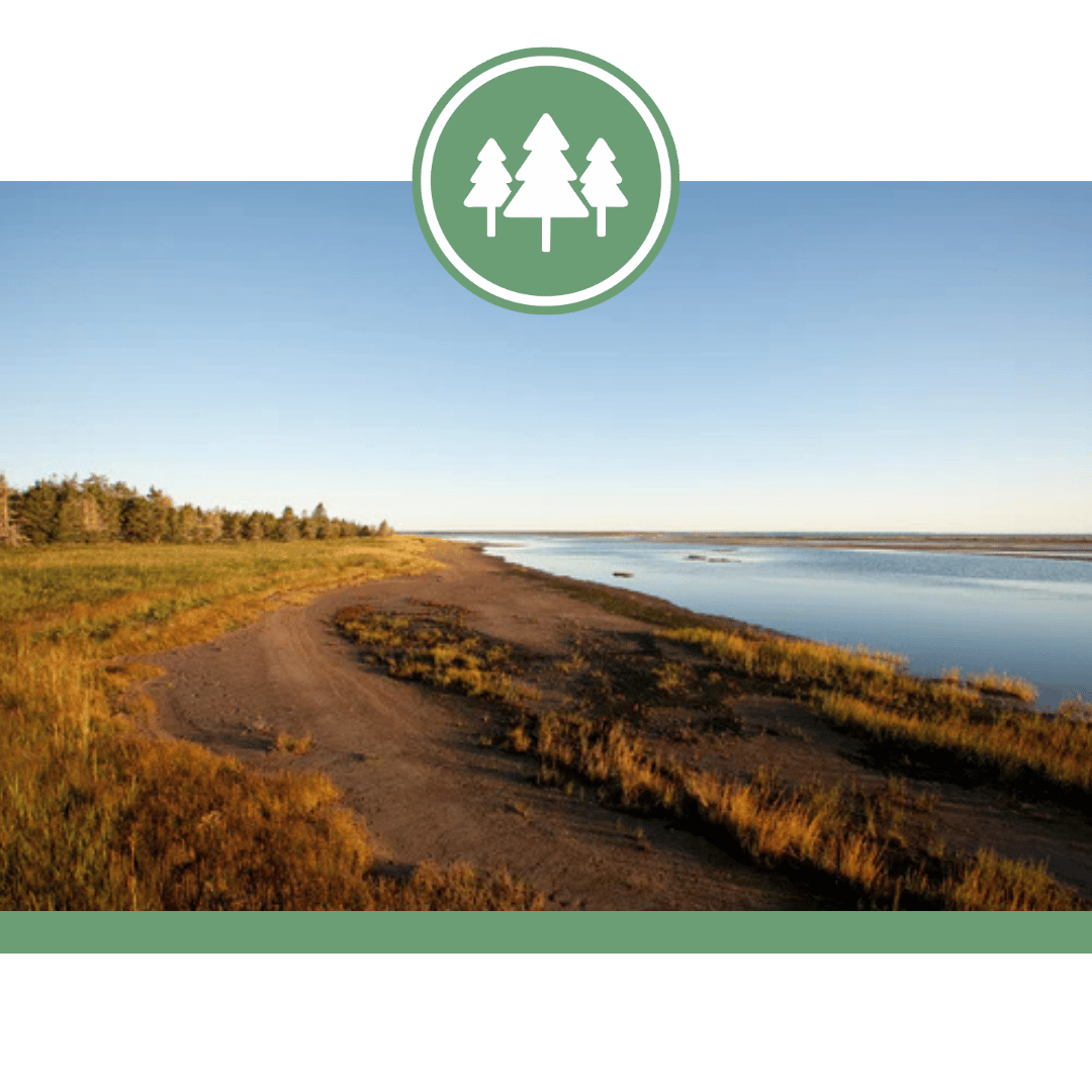 North Kouchibouguac Dune