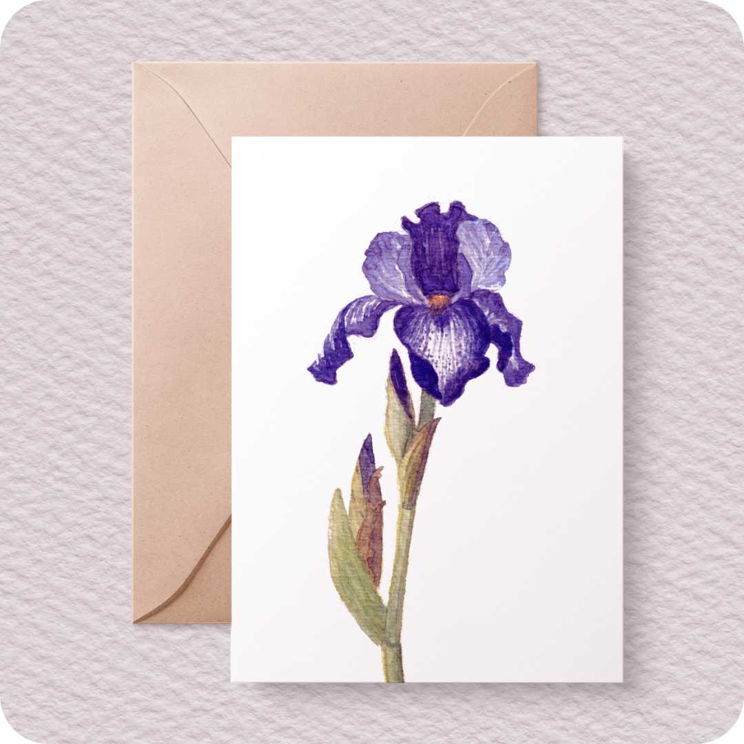 Paperfrost Art & Wellness Studio
