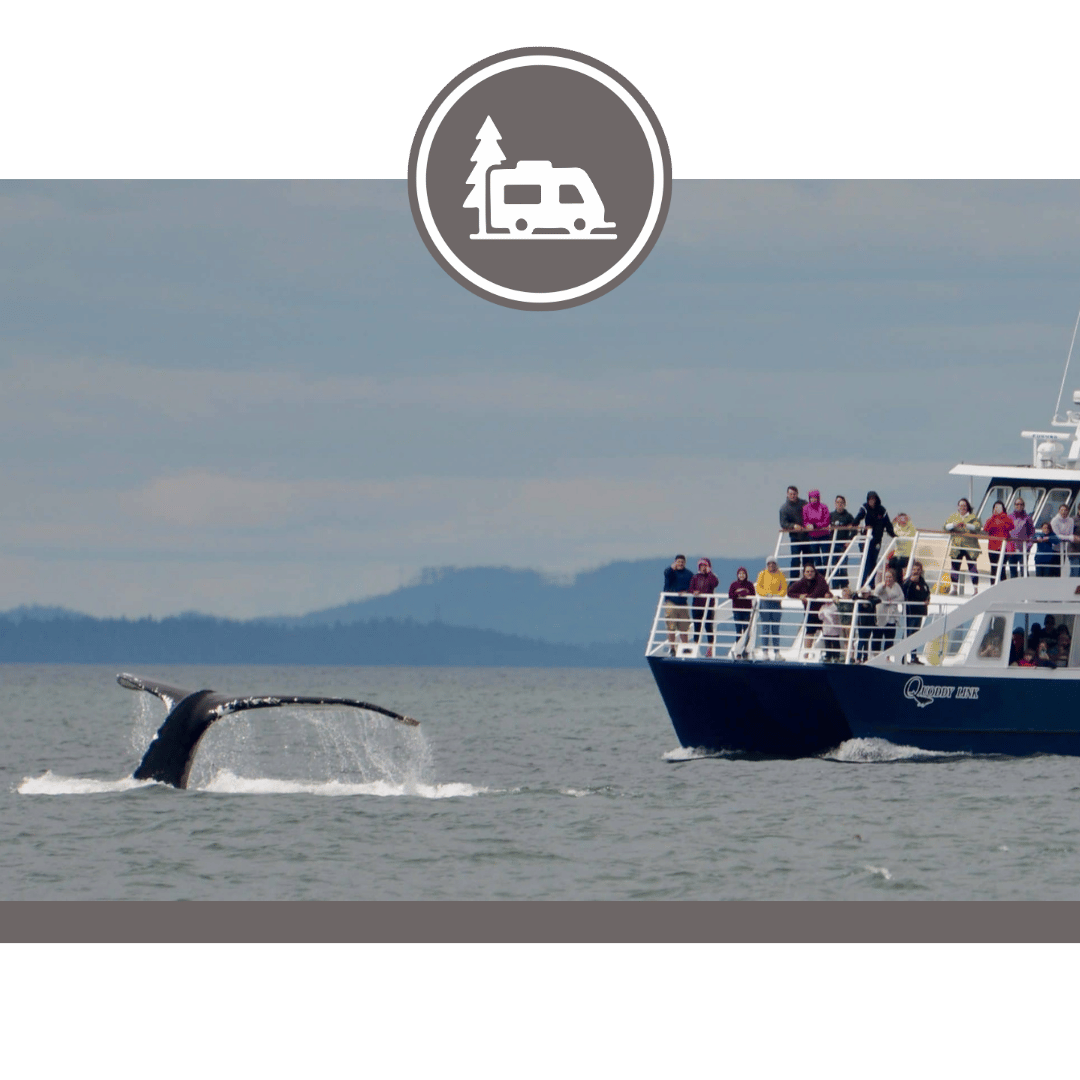 Quoddy Link Marine