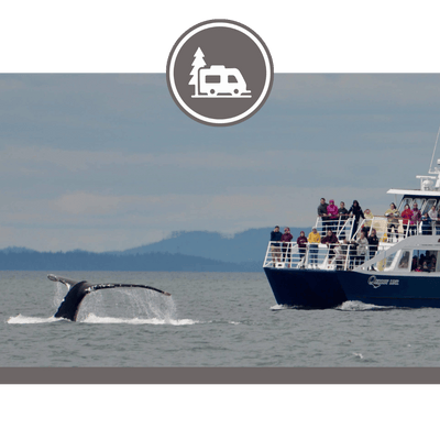 Quoddy Link Marine
