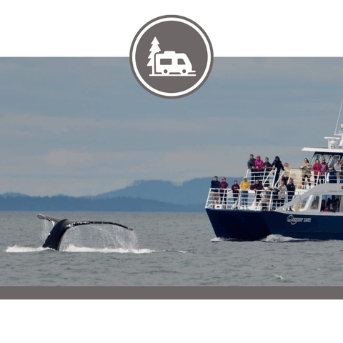 Quoddy Link Marine