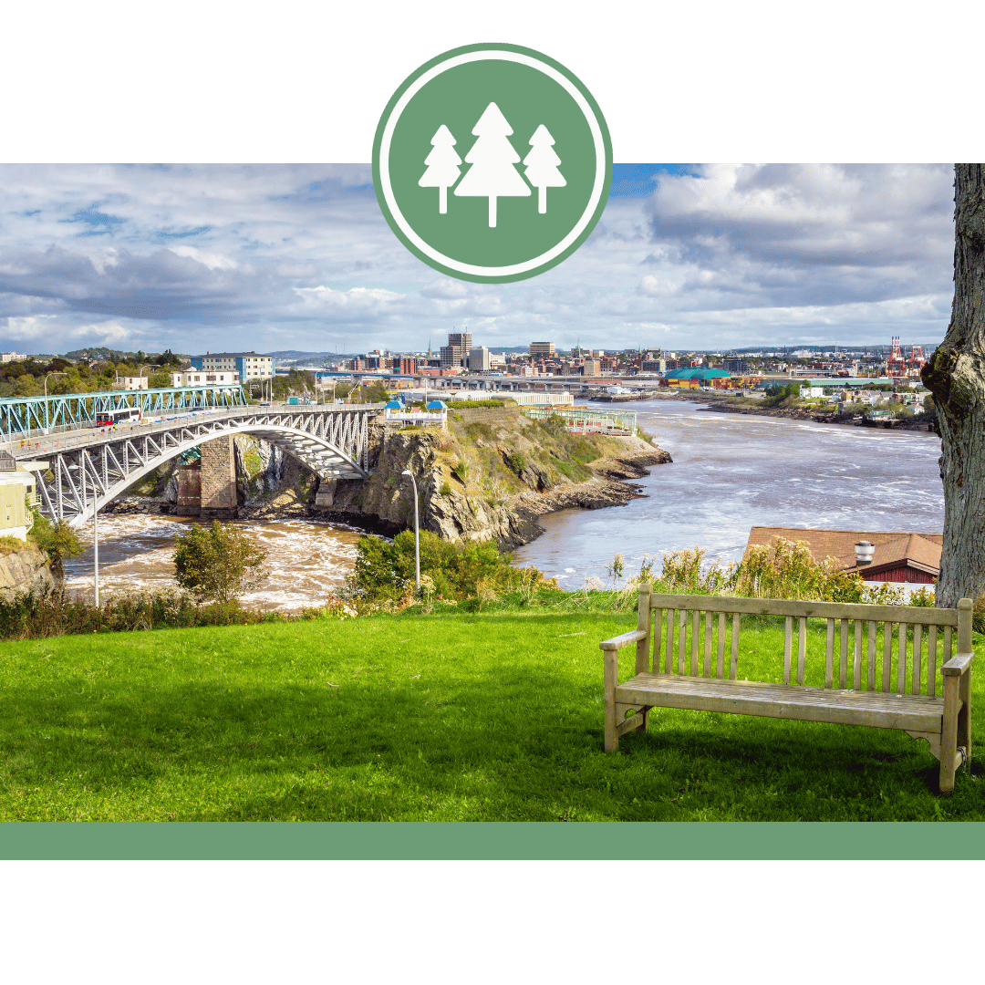 Reversing Falls Rapids