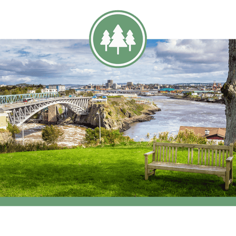 Reversing Falls Rapids