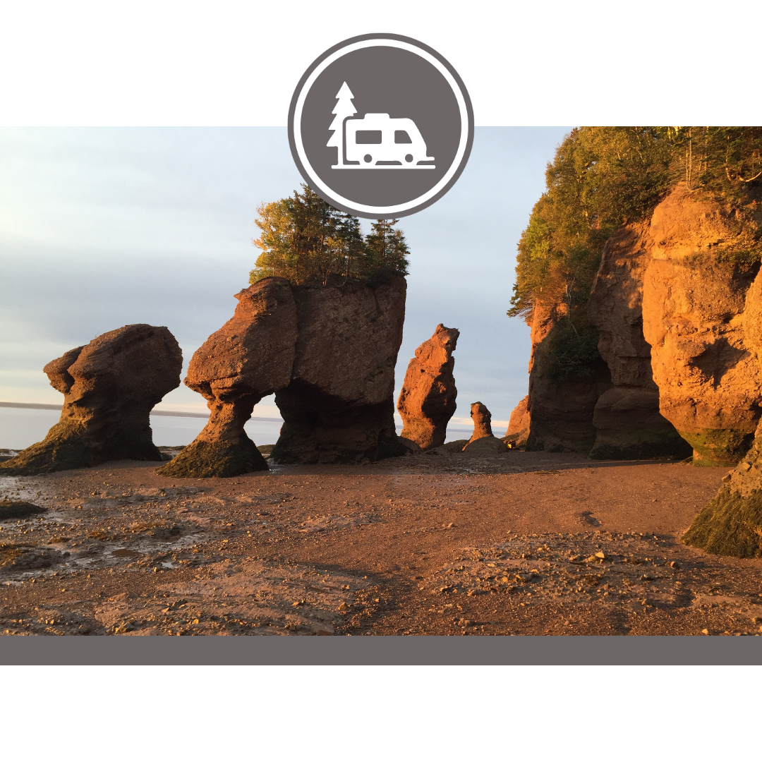 Roads To Sea Tours
