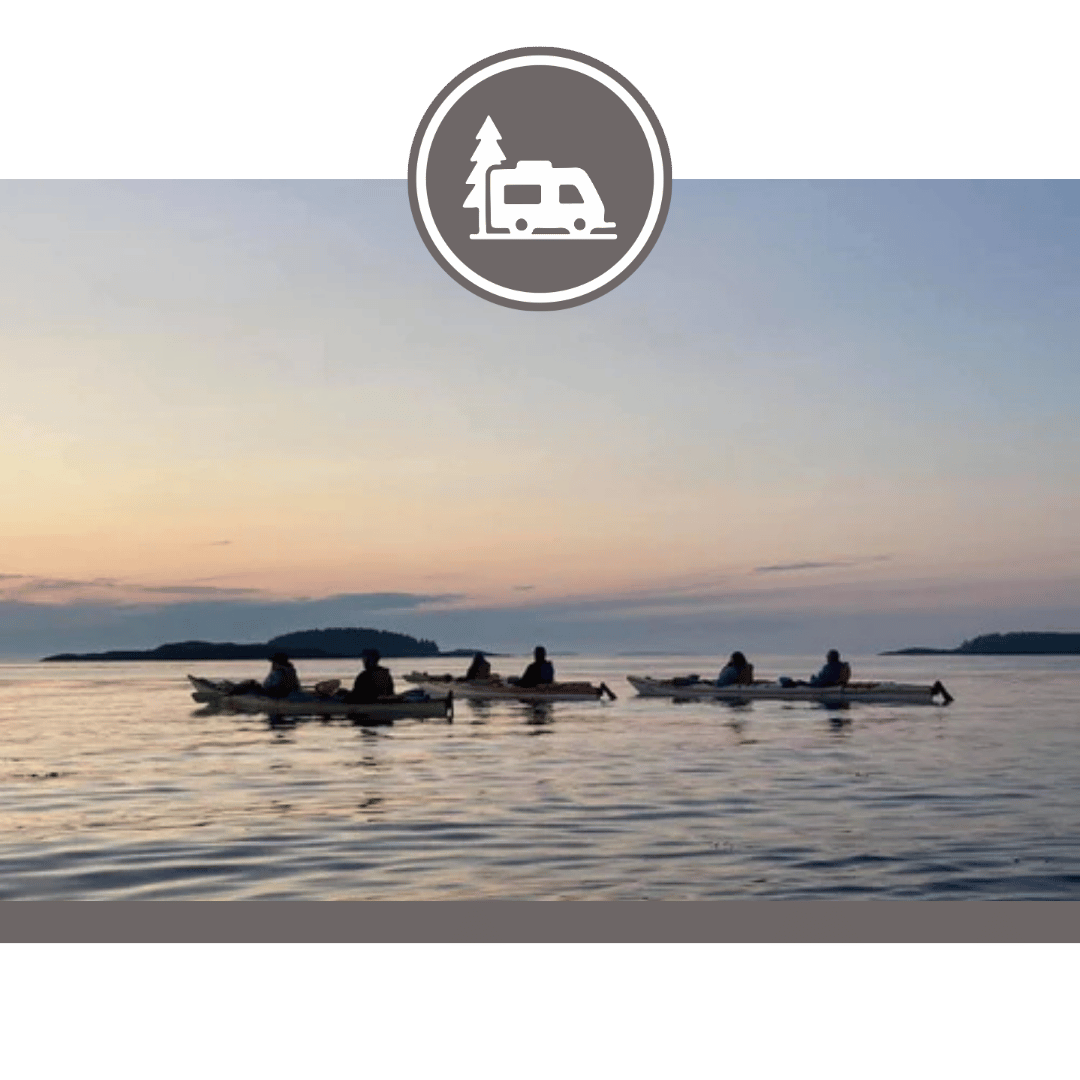 Seascape Kayak Tours