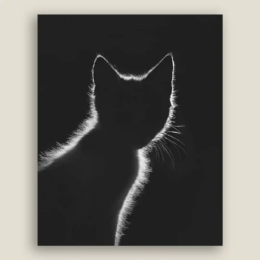StoryPixStudio_cat_Photography_art_Fredericton_NB copy.webp__PID:16682779-6faa-4e4e-ac4c-b19686df9e57