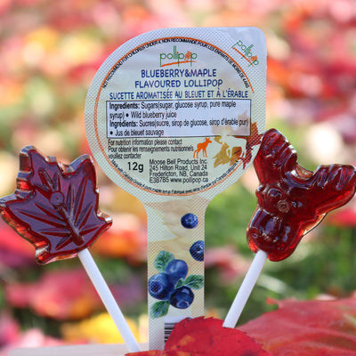 Maple & Fruit Flavoured Lollipop