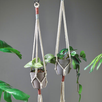 Hanging Planters Mini Sets of 2