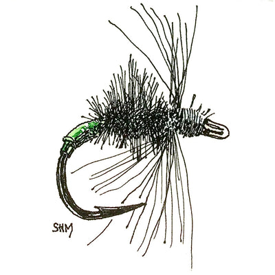 Dessin Fly Fishing Fly